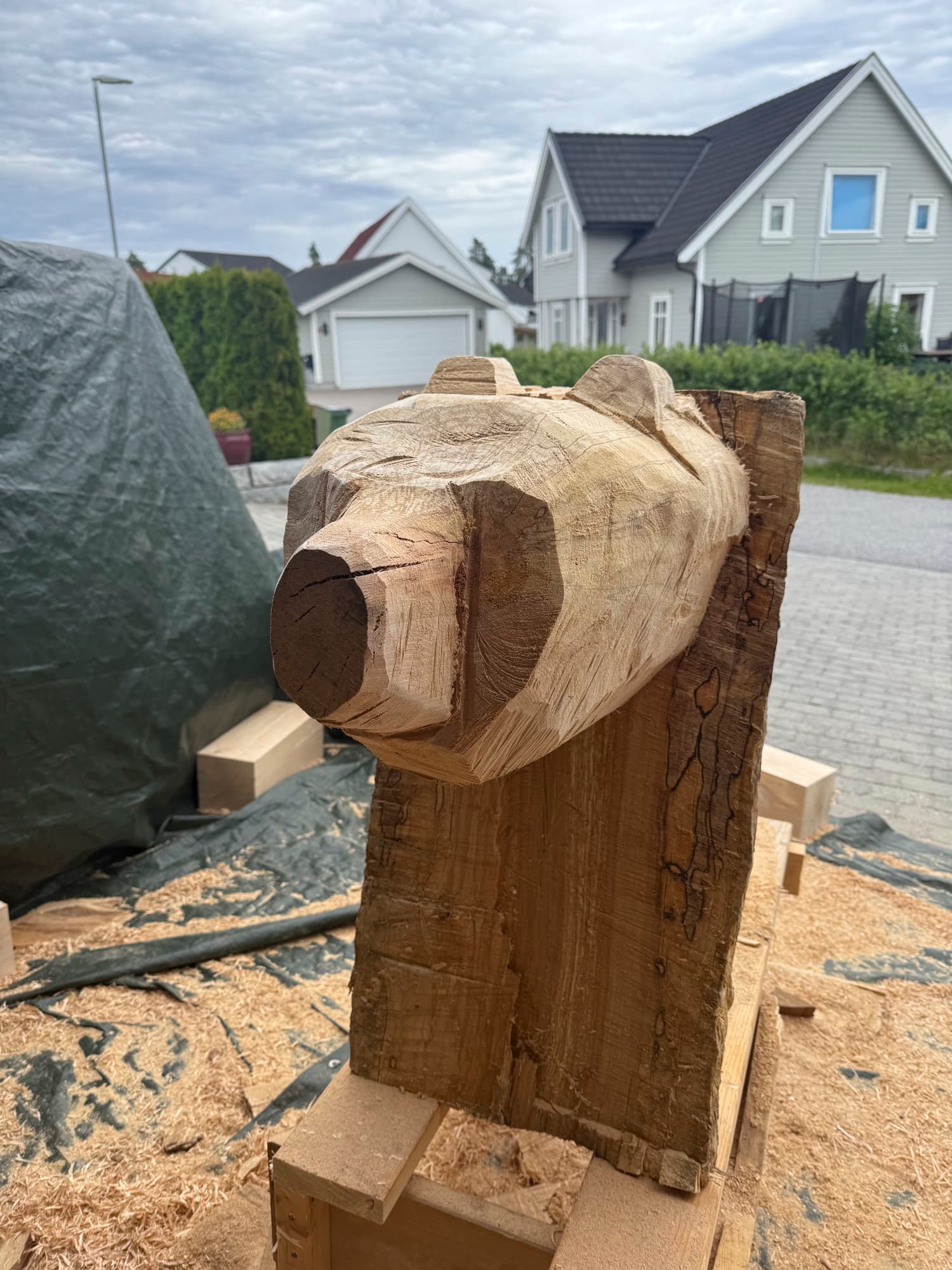 Roughing out with the chainsaw