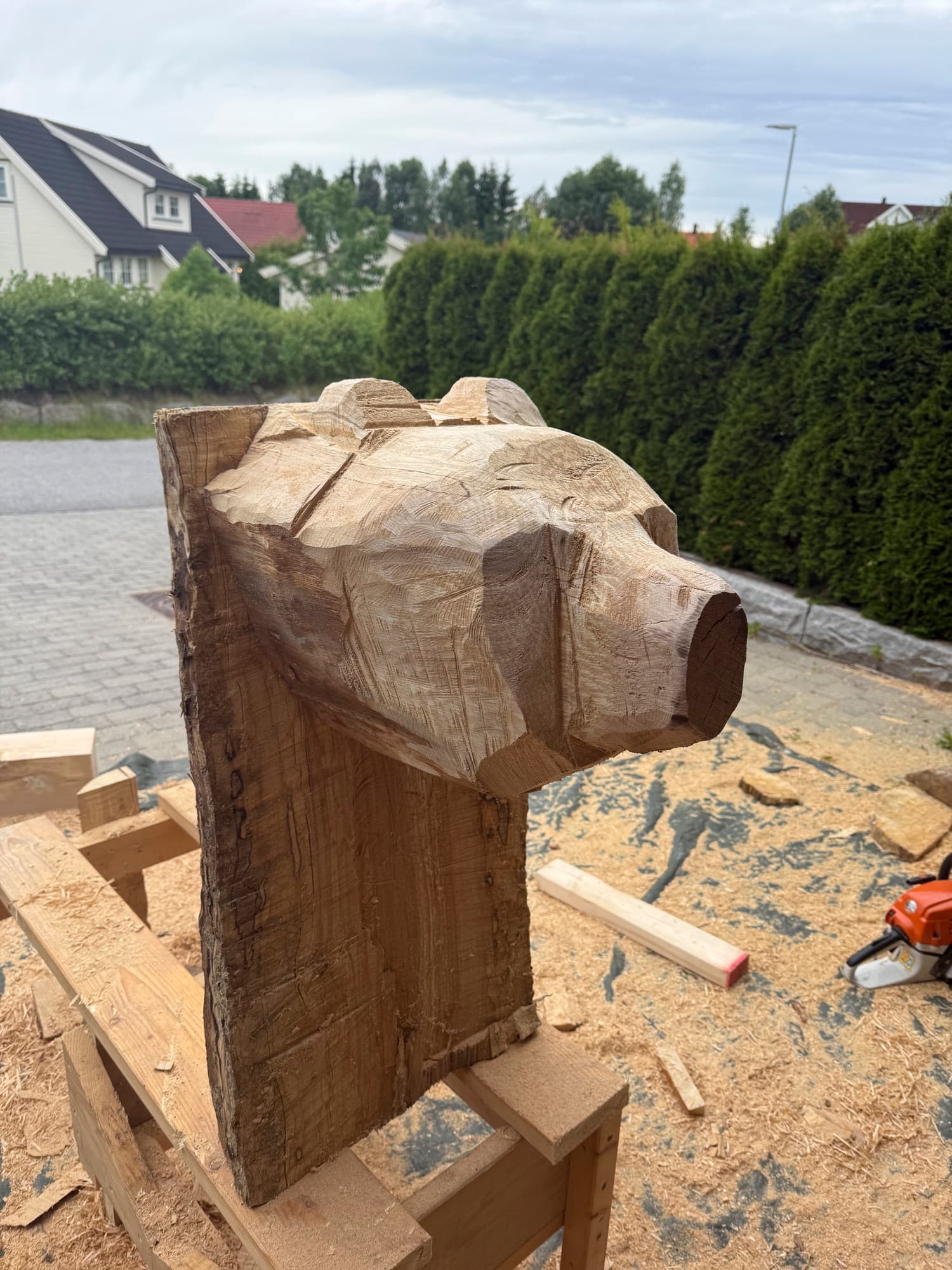 Bear carved in wood with chainsaw and gouges